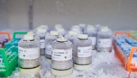 Reserach_2020-3-700x400