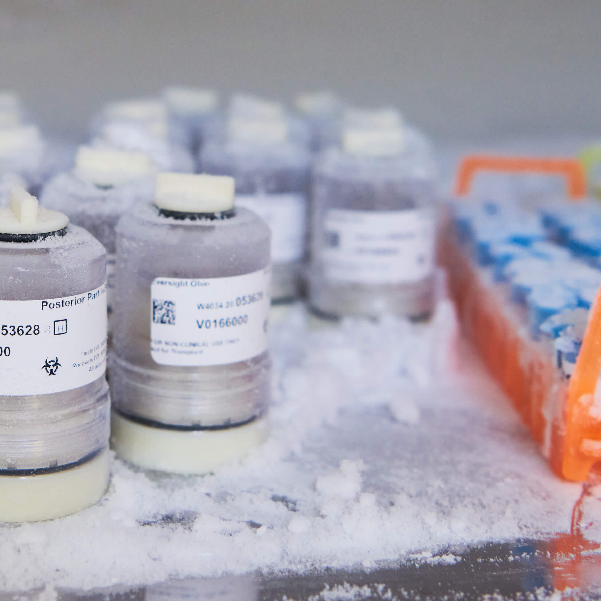 CRO services lab equipment CRO services lab equipment