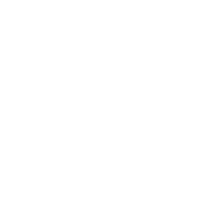 Our_Focus_Icon_Global