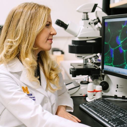 Eversight eye & vision research grants program Eversight eye & vision research grants program