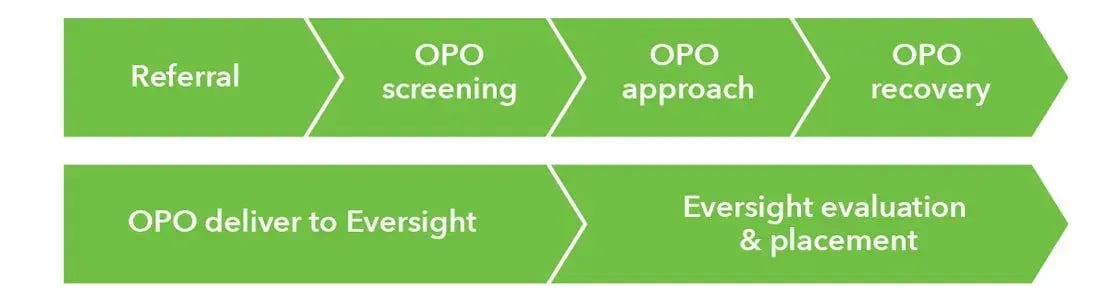 OPO_Parnterships_graphic-1v4 OPO_Parnterships_graphic-1v4