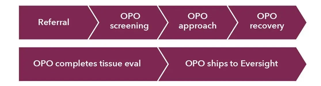 OPO_Parnterships_graphic-4 OPO_Parnterships_graphic-4