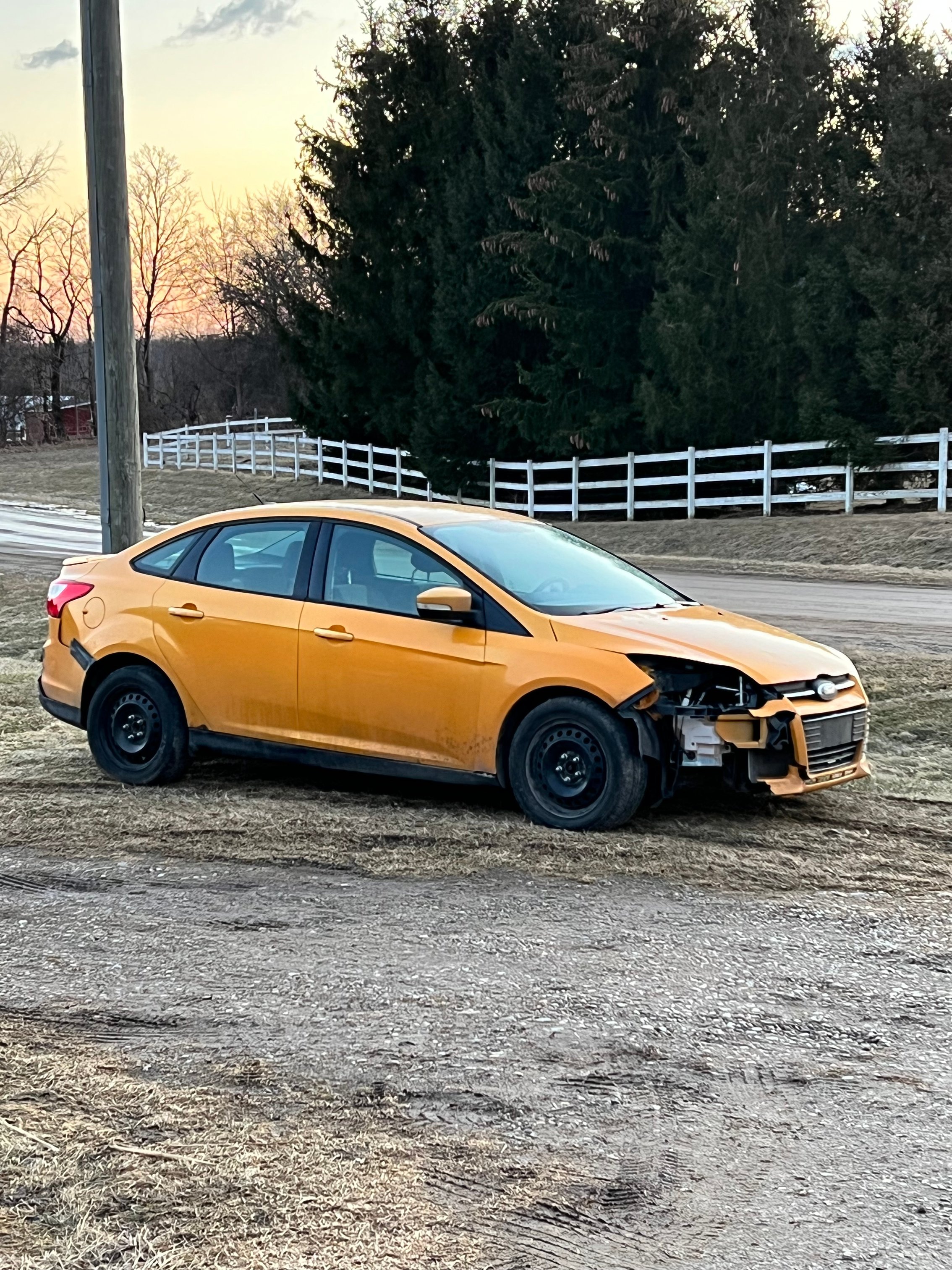 Kris has experienced more than his fair share of motor vehicle collisions wth deer.