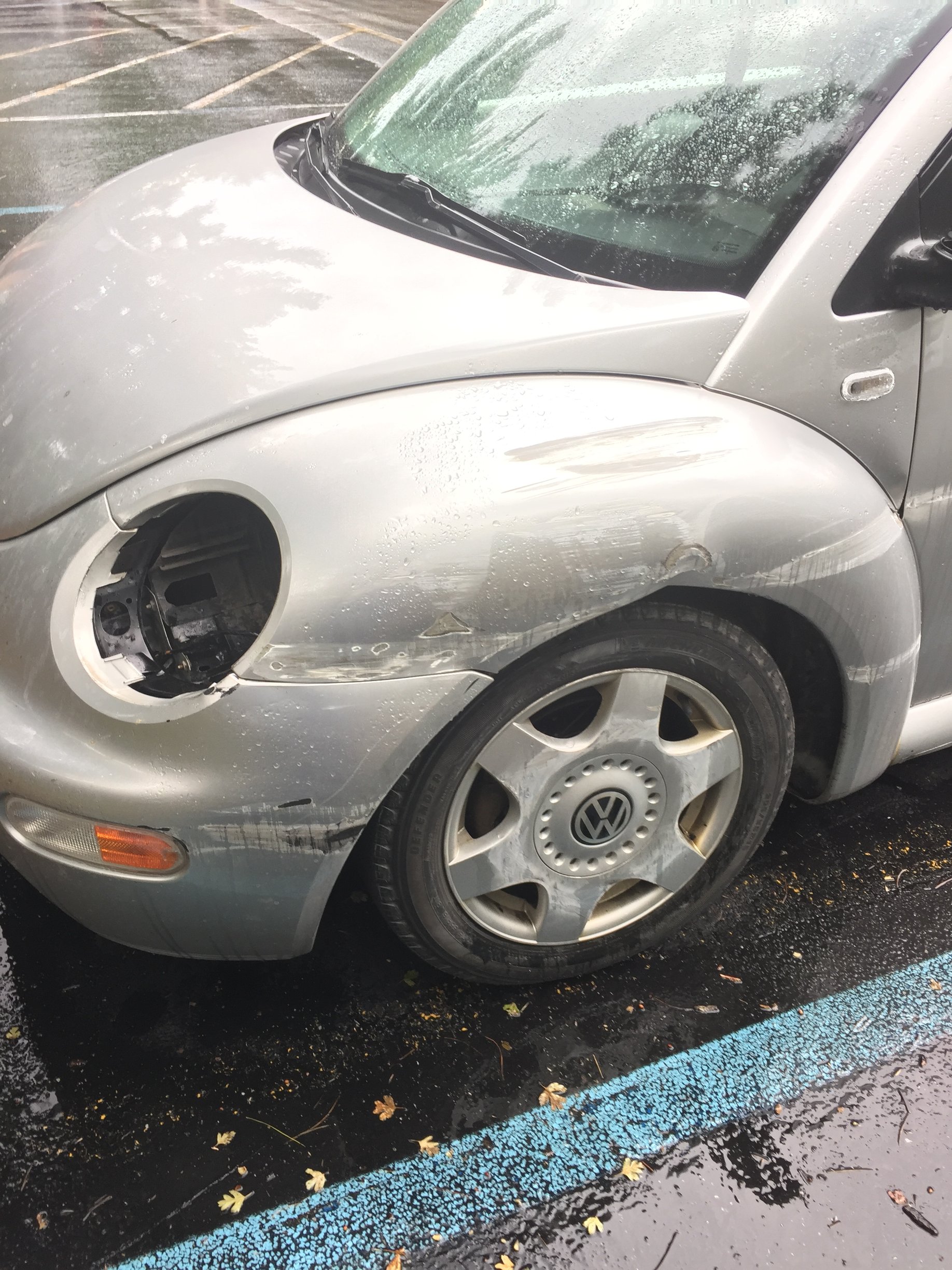 Kris has experienced more than his fair share of motor vehicle collisions wth deer.