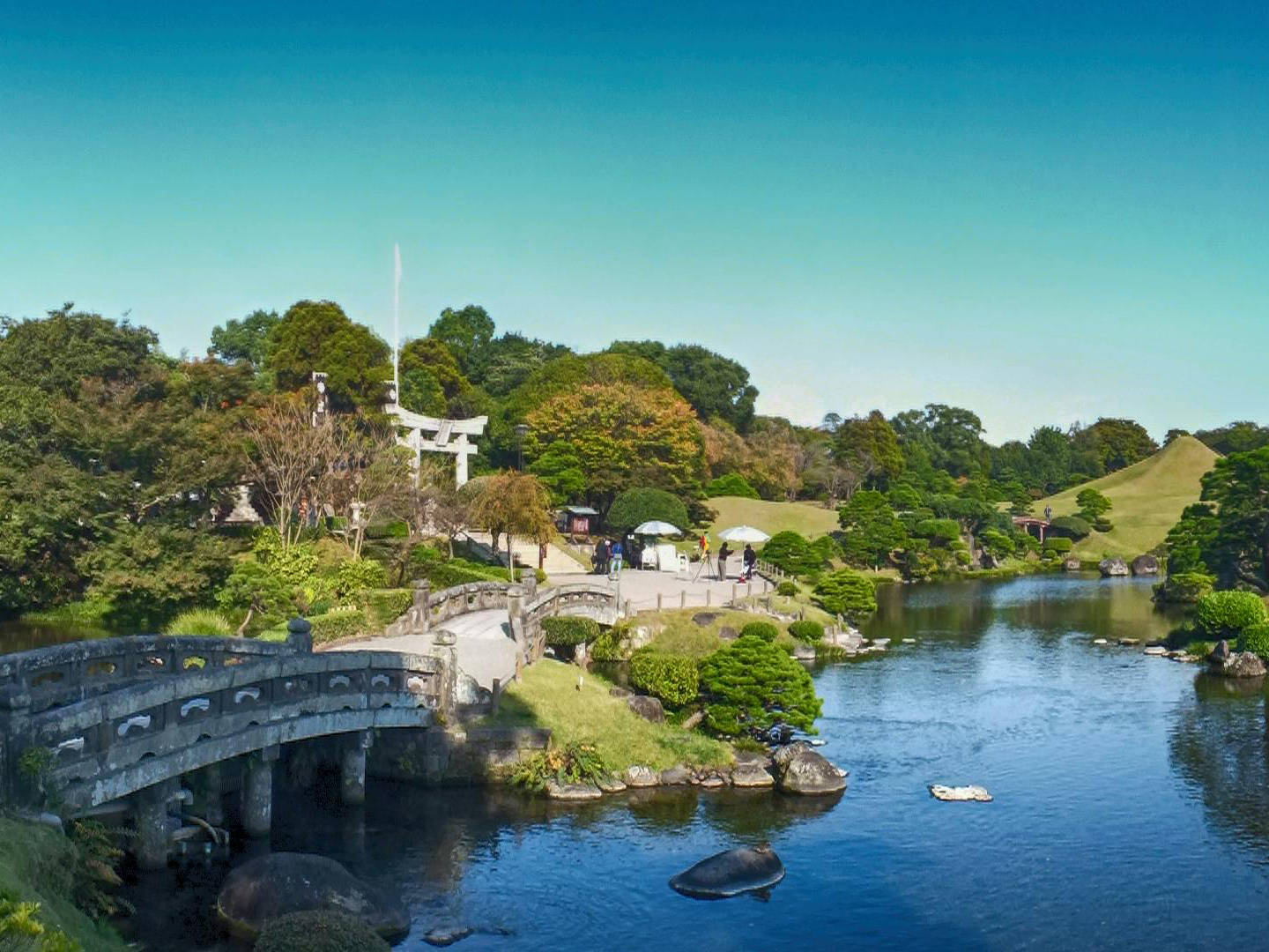 pexels-carsten-wolf-42106-145525_3x4