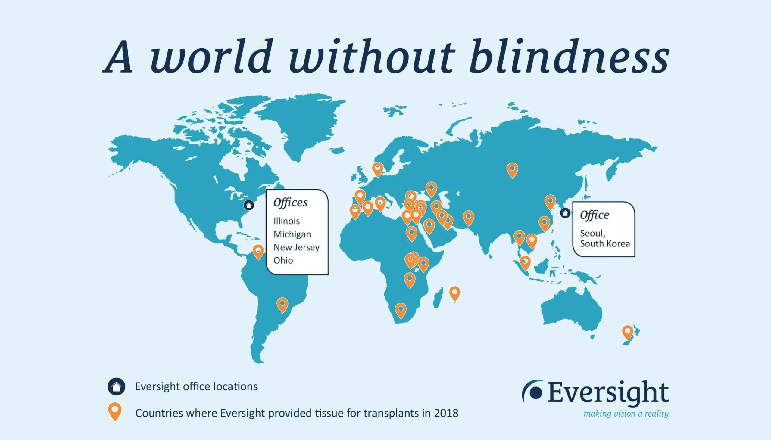 Eversight 2018 Impact