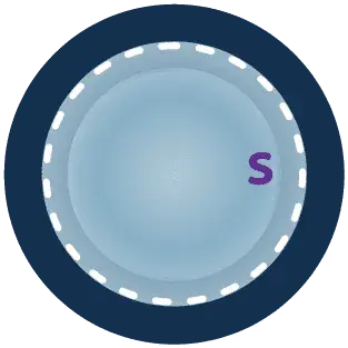 Individual_Markings_S DSAEK prepared tissue