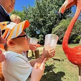 Oliver Chaves, a 4-year-old cornea recipient from Indiana Oliver Chaves, a 4-year-old cornea recipient from Indiana